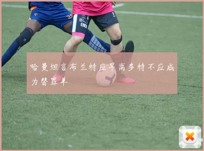 哈曼坦言布兰特应早离多特不应成为替罪羊